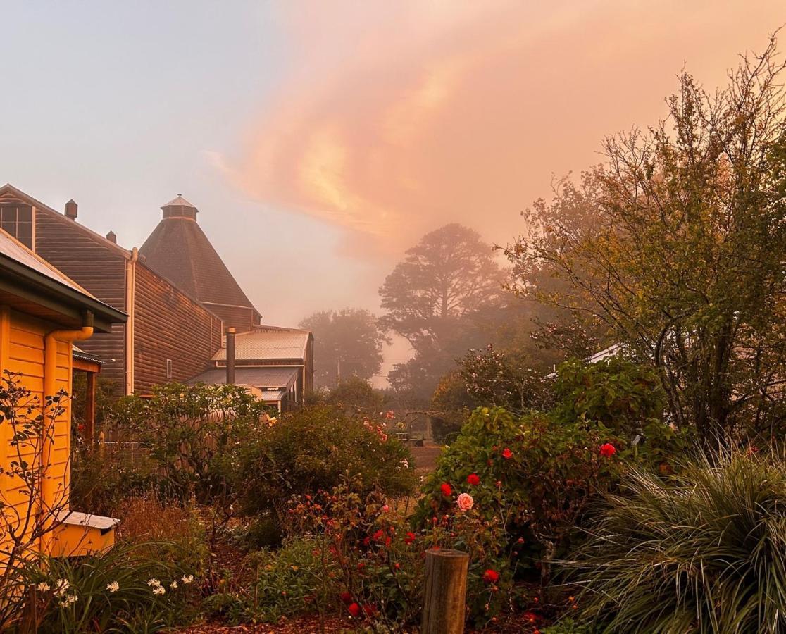 Clifton Homestead Ranelagh Exterior foto